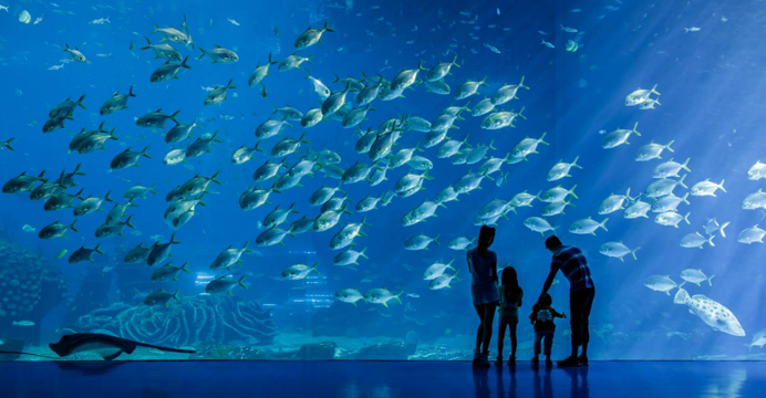 Chimelong Ocean Kingdom